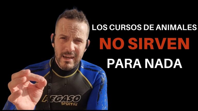 La importancia del bienestar veterinario en zoológicos