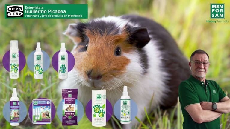 Gu&iacute;a de Productos de Higiene para Mascotas Ex&oacute;ticas