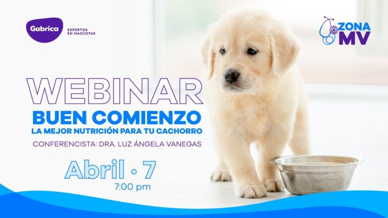 La Importancia de la Nutrici&oacute;n Animal en Cachorros