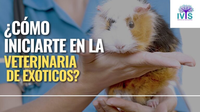 Avances en Cirug&iacute;a Veterinaria para Especies Ex&oacute;ticas