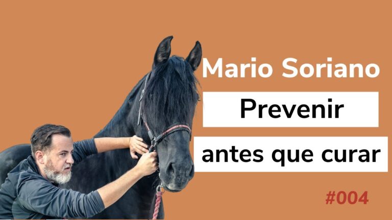 Rehabilitaci&oacute;n Animal: Perspectivas de Veteranos Expertos
