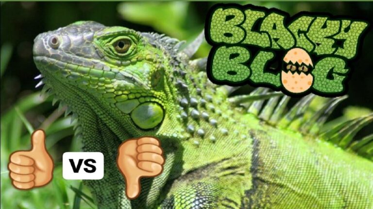 Beneficios de Tener Reptiles como Mascotas en Casa