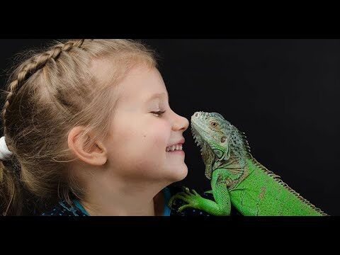 Terrarios y Accesorios Esenciales para Reptiles Dom&eacute;sticos