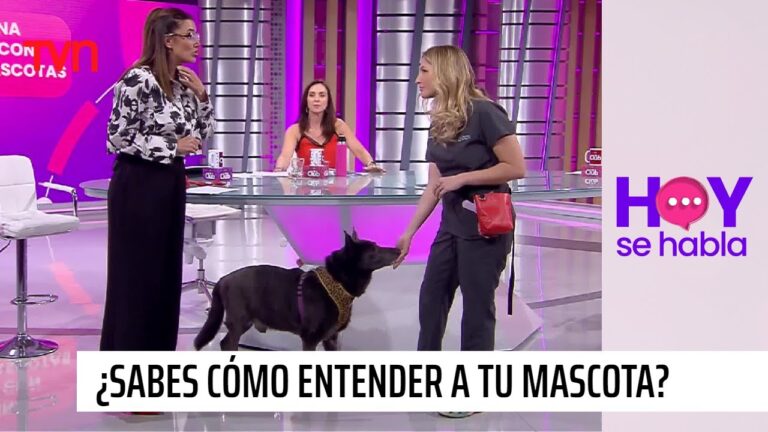 Entendiendo a tu mascota: Clave para una convivencia armoniosa