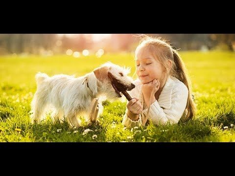 &Eacute;tica y Prevenci&oacute;n del Sufrimiento Animal