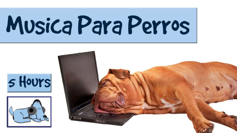 Terapias Relajantes con Velas para Mascotas