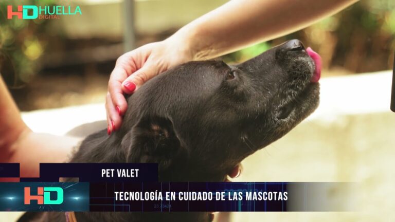 Innovaciones en Tecnolog&iacute;a Digital para el Cuidado de Mascotas