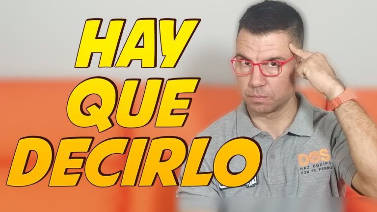Adopci&oacute;n Responsable y Adiestramiento de Mascotas: Claves para un V&iacute;nculo Exitoso