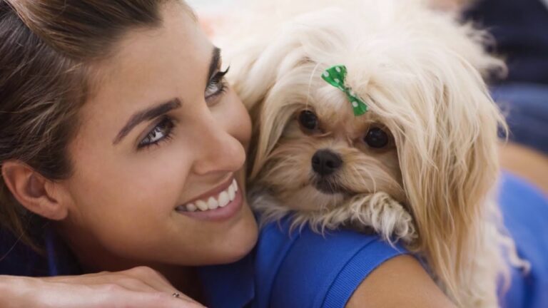 Terapias Hol&iacute;sticas para Mascotas: Beneficios de la Acupuntura y Cromoterapia