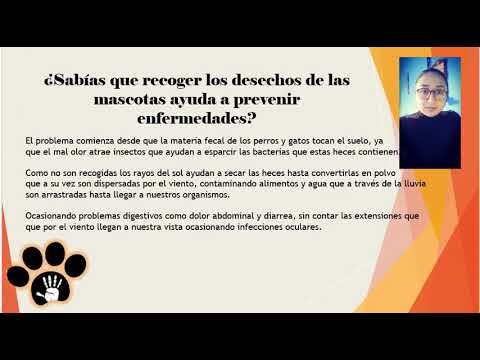 Promoviendo el Bienestar Animal en Refugios a Trav&eacute;s de la Psicolog&iacute;a