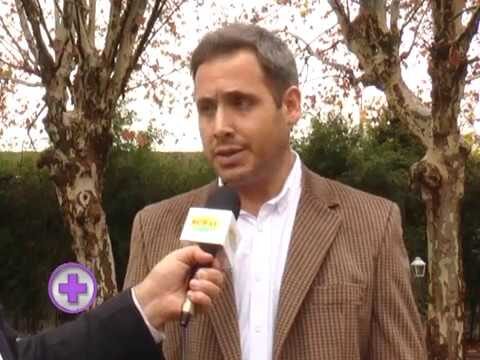 Diagn&oacute;stico Eficaz de Artrosis en Caballos