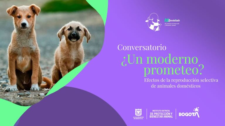 Reproducci&oacute;n Selectiva y Bienestar Animal: Un Equilibrio Necesario