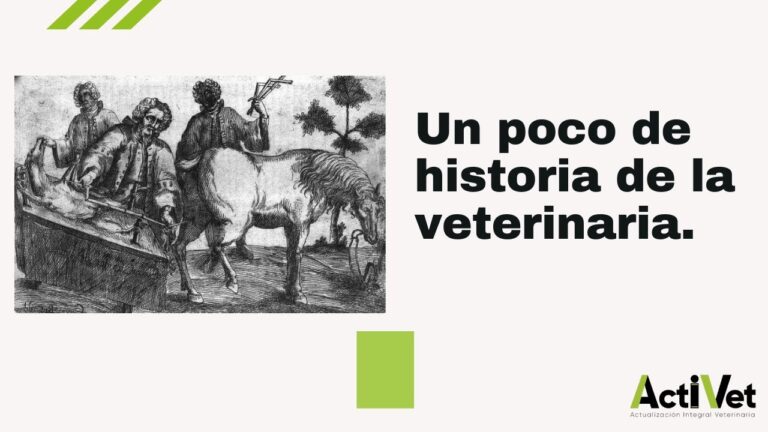 La Fascinante Historia de la Veterinaria y sus Enfermedades Comunes