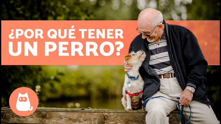 Opiniones de Veterinarios Expertos sobre la Crianza de Cachorros