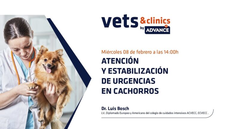 Veterinarios Especializados en Emergencias y Cuidados Intensivos