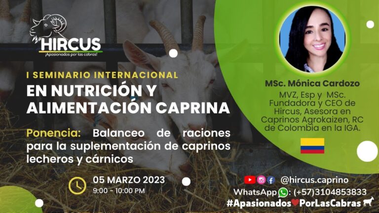 Optimizaci&oacute;n del Equilibrio Nutricional en la Dieta Animal