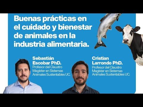 Alimentaci&oacute;n &Oacute;ptima para el Bienestar Animal