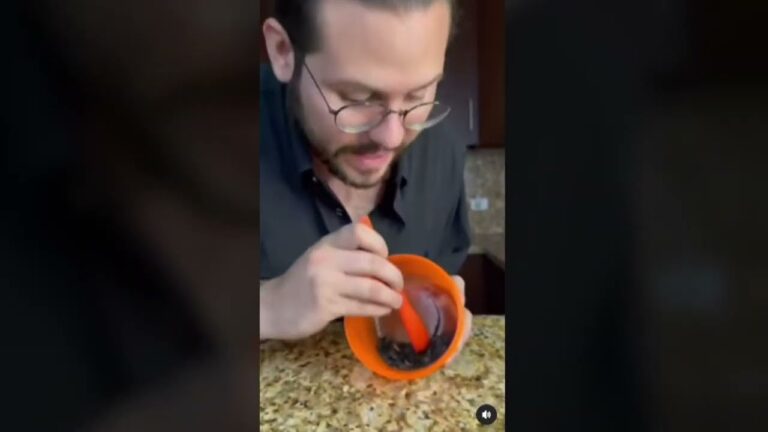 Consecuencias del Envenenamiento en Mascotas