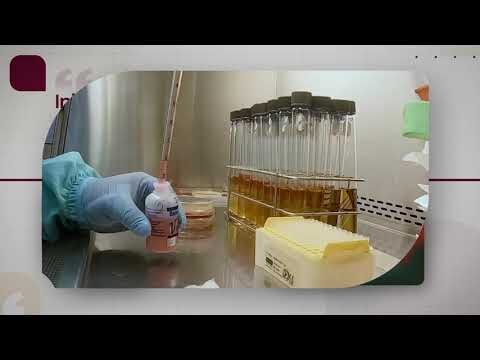 Diagn&oacute;stico Preciso en Veterinaria Rural: Claves y Estrategias