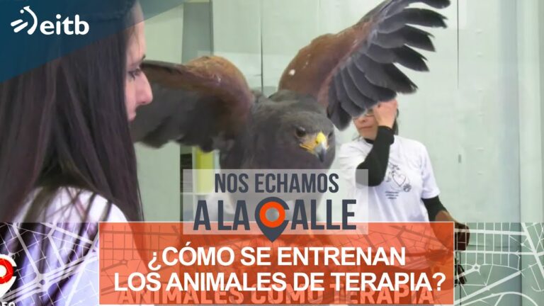 Terapias de Apoyo en Psicolog&iacute;a Animal para la Rehabilitaci&oacute;n