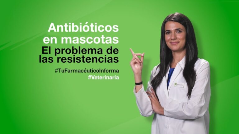 Tratamientos Efectivos de Antibi&oacute;ticos para Mascotas