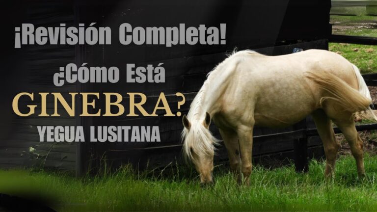 Cuidados Reproductivos en la Salud Veterinaria Integral