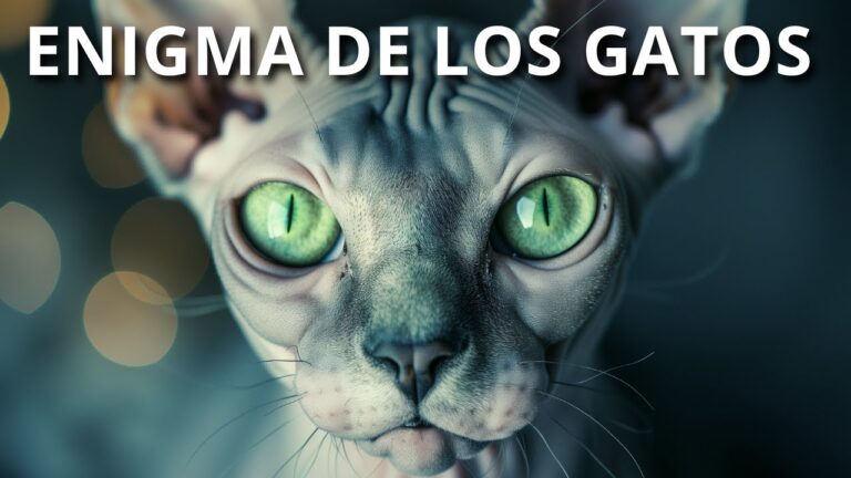 Misterios Revelados de la Historia de los Animales Domésticos