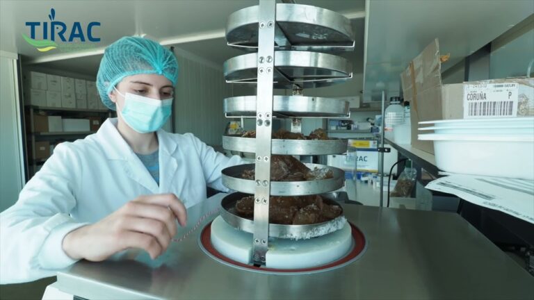 Mejorando la Nutrici&oacute;n Animal a trav&eacute;s de la Fibra