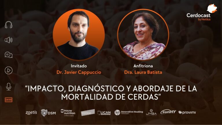 Impacto de las Dietas Veterinarias en la Salud Animal