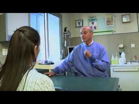 La importancia de la cardiolog&iacute;a en la salud de las mascotas