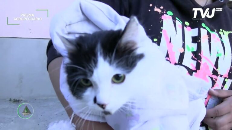 Esterilizaci&oacute;n: Pilar Fundamental de la Salud Veterinaria Integral