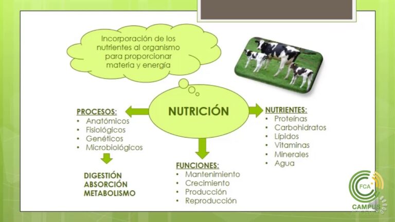 Evoluci&oacute;n de la Nutrici&oacute;n Animal y Dietas Veterinarias