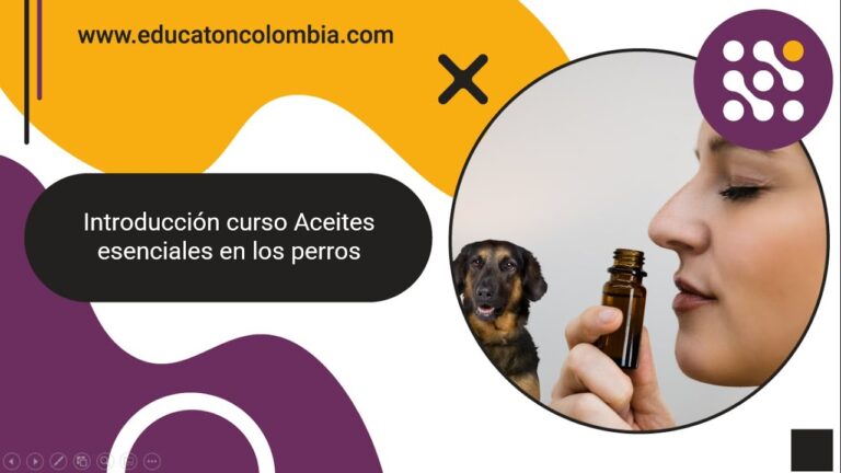 Aceites Esenciales en la Terapia para Mascotas