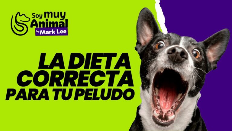 Consejos Esenciales para una Dieta Balanceada en Animales