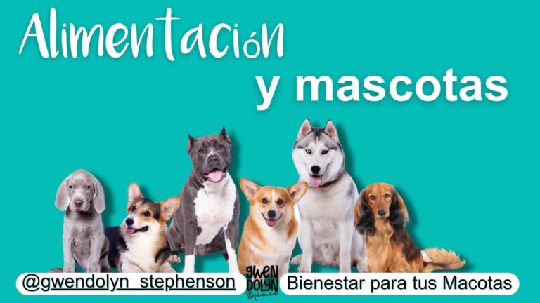 La Nutrici&oacute;n: Clave para la Salud de tus Mascotas