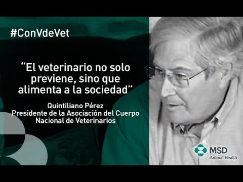 La importancia de la higiene animal en la pr&aacute;ctica veterinaria