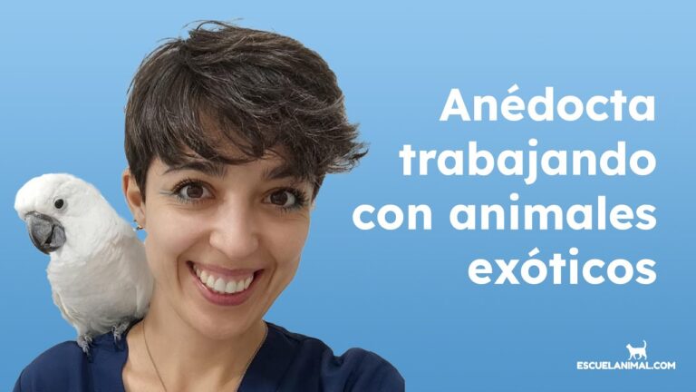 An&eacute;cdotas Fascinantes de Animales Ex&oacute;ticos en la Veterinaria