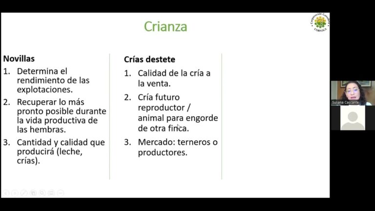Importancia de la Nutrici&oacute;n Animal en el Control de Peso