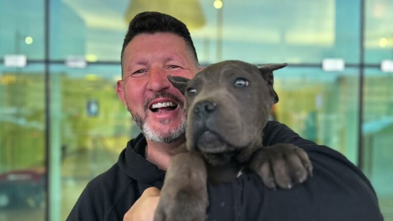 Gu&iacute;a Pr&aacute;ctica para Adoptar y Alimentar a tu Mascota