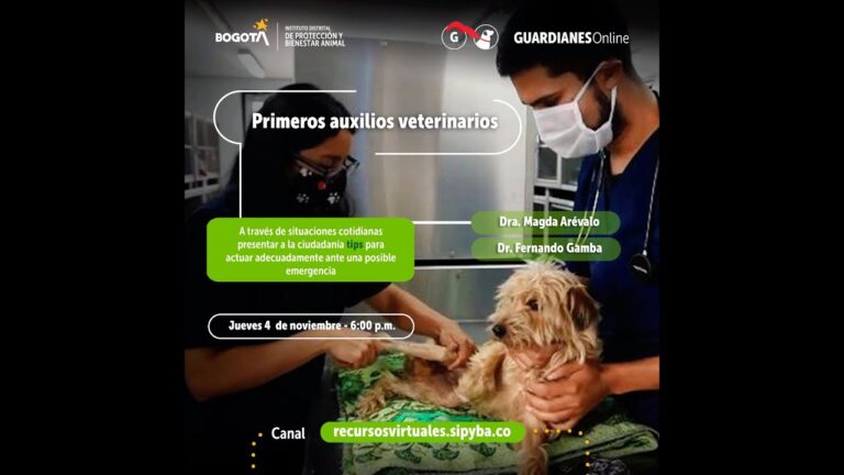 Bienestar Animal en Emergencias Veterinarias