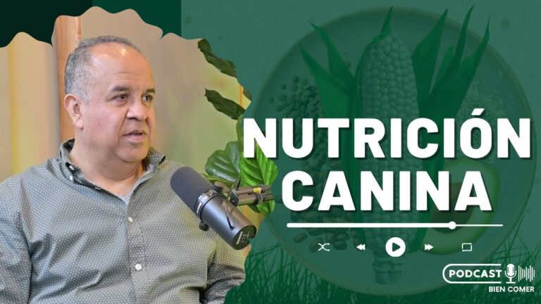 Dietas Veterinarias Personalizadas: Ajustes Nutricionales Espec&iacute;ficos para Mascotas