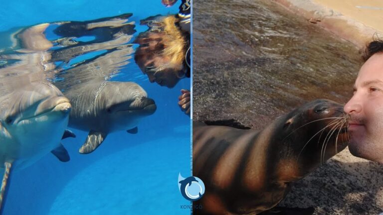 An&eacute;cdotas Fascinantes de Mam&iacute;feros en Veterinaria