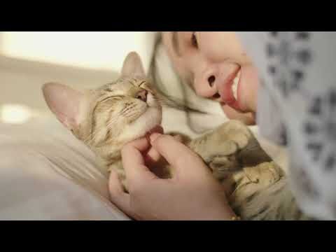 Bienestar Animal y Comunicaci&oacute;n Emp&aacute;tica en la Veterinaria