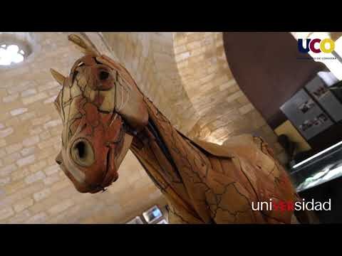 Evoluci&oacute;n de la Veterinaria a lo Largo de los Siglos