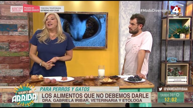 Alimentos Prohibidos para Mascotas: Recomendaciones Esenciales